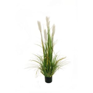 PIANTA GRASSA IN VASO D14 H120  (Cod. 30060-01)