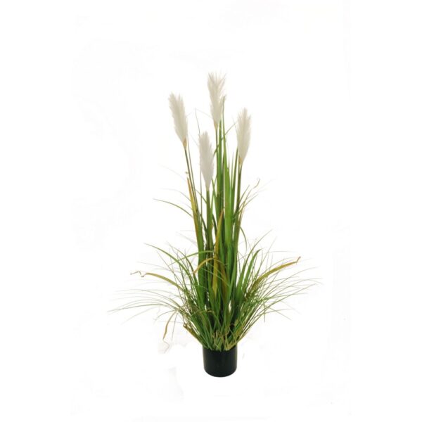 PIANTA GRASSA IN VASO D14 H120  (Cod. 30060-01)