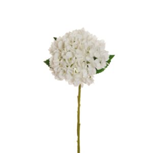 ORTENSIA JULIET CON 3 FOGLIE H50 D18 CM bianco (Cod. 33242-05)