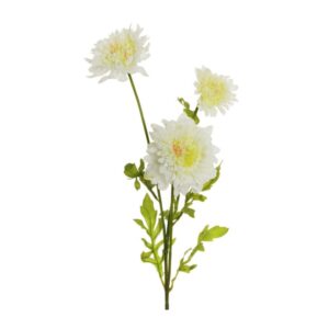 SCABIOSA RAMO X3 69 CM crema (Cod. 33372-02)