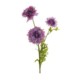 SCABIOSA RAMO X3 69 CM viola (Cod. 33372-03)