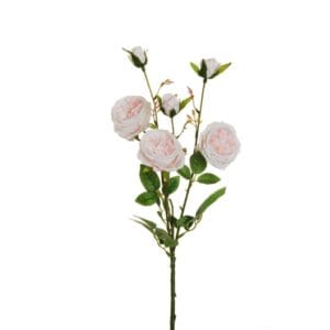 ROSE RAMO AUSTIN CON 3 FOGLIE E 3 BOCCIOLI 67 CM rosa (Cod. 33373-01)