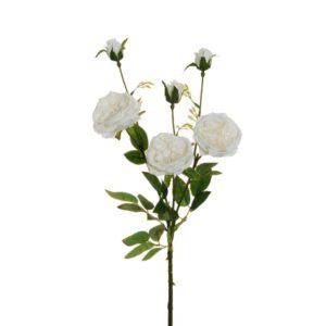 ROSE RAMO AUSTIN CON 3 FOGLIE E 3 BOCCIOLI bianco (Cod. 33373-06)