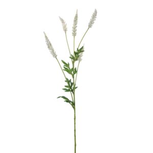 RAMO DI ASTILBE CM 82 crema (Cod. 33393-01)