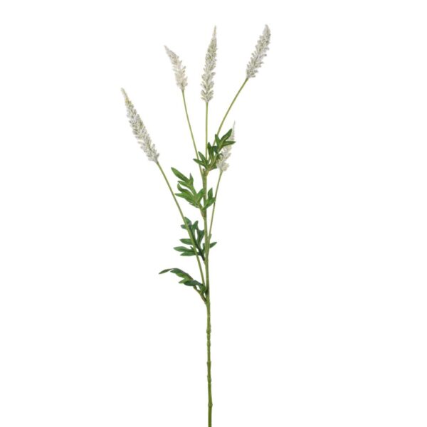 RAMO DI ASTILBE CM 82 crema (Cod. 33393-01)
