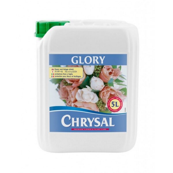 CHRYSAL GLORY TANICA LT.5  (Cod. 33394-01)