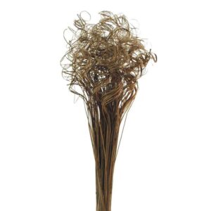CURLY TING TING MAZZO NATURALE 300GR  (Cod. 38789-01)