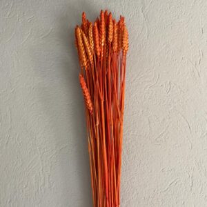 GRANETTO TRITICUM BUSTA GR.120 COLORATO arancio (Cod. 32503-10)