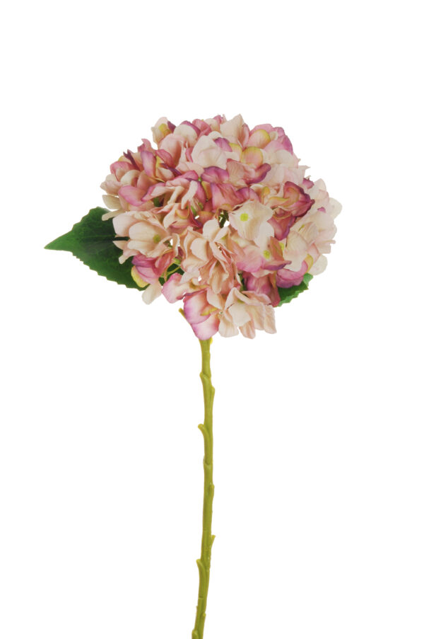 ORTENSIA JULIET CON 3 FOGLIE H50 D18 CM viola-rosa-crema (Cod. 33242-07)