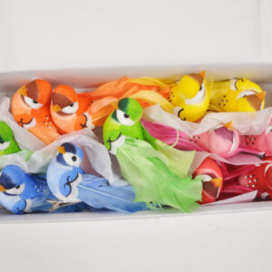 SET 12 PZ CLIP CON UCCELLINO 8 CM COLORI MISTI  (Cod. 33522-01)