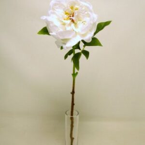 RAMO PEONIA CM68 crema (Cod. 33604-03)