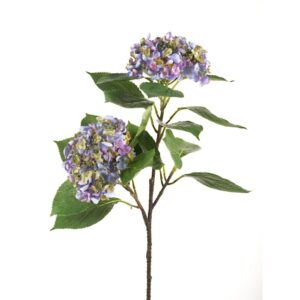 ORTENSIA LOOK REALISTICO X2  lilla (Cod. 33691-02)