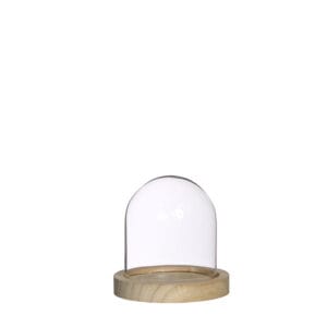 CAMPANA DI VETRO CON BASE LEGNO D10 H10 CM  (Cod. 33738-01)