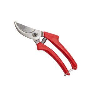 FORBICE VIGNA CM 21  (Cod. 22776-01)
