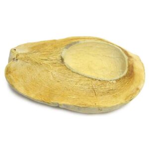 COCCO HALFCUT SBIANCATO CM.18/25  (Cod. 32777-01)