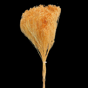 BROOM BLOOM COL. MAZZO GR.100 salmone (Cod. 6013-06)