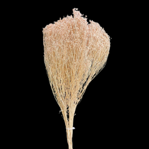BROOM BLOOM COL. PASTELLO MAZZO GR.100 rosa-chiaro (Cod. 33974-02)
