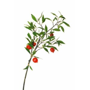 RAMO DI MELOGRANO CON FRUTTI 120CM  (Cod. 34041-01)