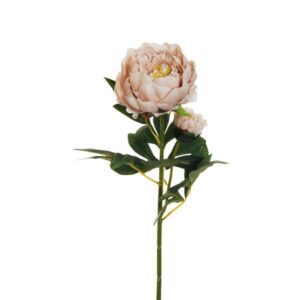 PEONIA RAMO X2 1 FIORE E 1 BOCCIOLO APERTO 66CM rosa-antico-chiaro (Cod. 25470-09)