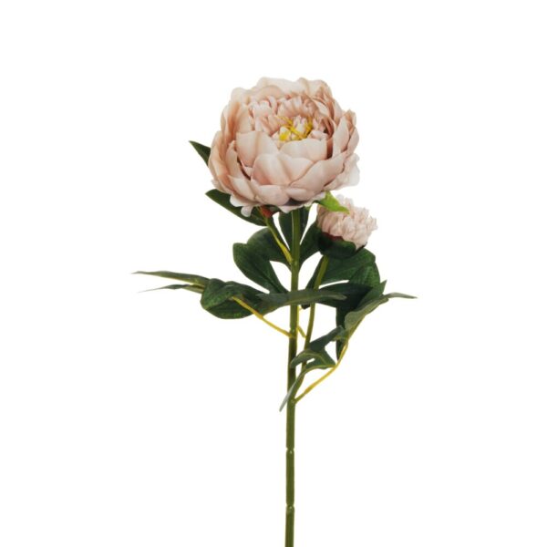 PEONIA RAMO X2 1 FIORE E 1 BOCCIOLO APERTO 66CM rosa-antico-chiaro (Cod. 25470-09)