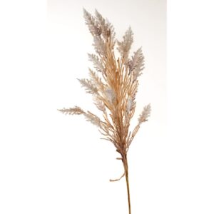 RAMO PAMPAS  crema (Cod. 34226-01)