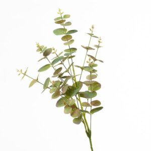 RAMO EUCALIPTO 27X84 CM verde-rosso (Cod. 30935-04)