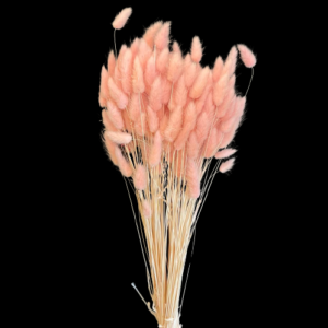 LAGURUS TOPINI GR.100 rosa-chiaro (Cod. 32442-12)