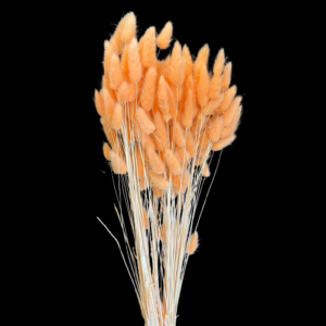 LAGURUS TOPINI GR.100 salmone-chiaro (Cod. 32442-11)