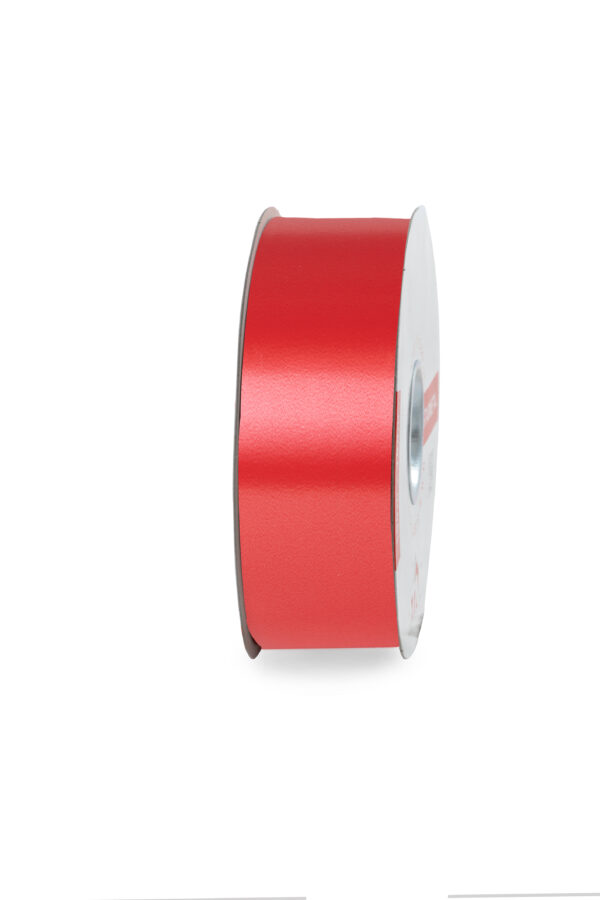 NASTRO LISCIO MM.50 MT.100 col.-00 (Cod. 1065-01)