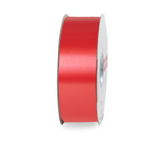 NASTRO LISCIO MM.50 MT.100 col.-00 (Cod. 1065-01)