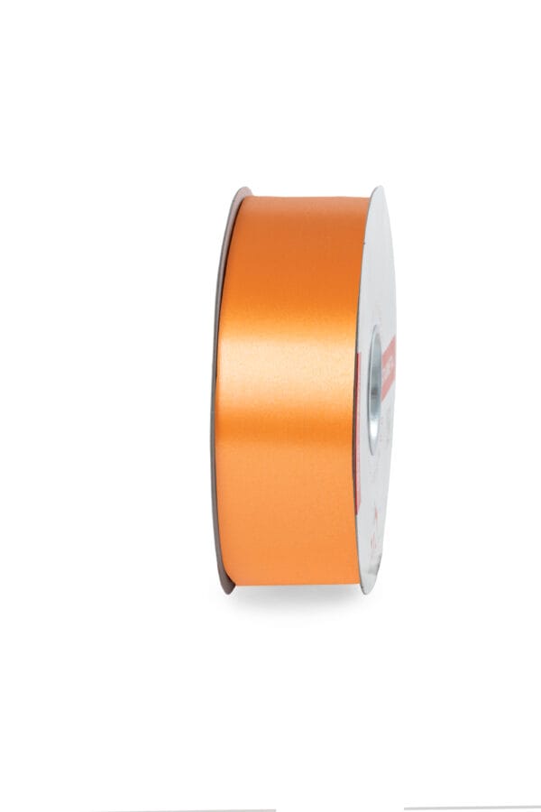 NASTRO LISCIO MM.50 MT.100 col.-116 (Cod. 1065-03)