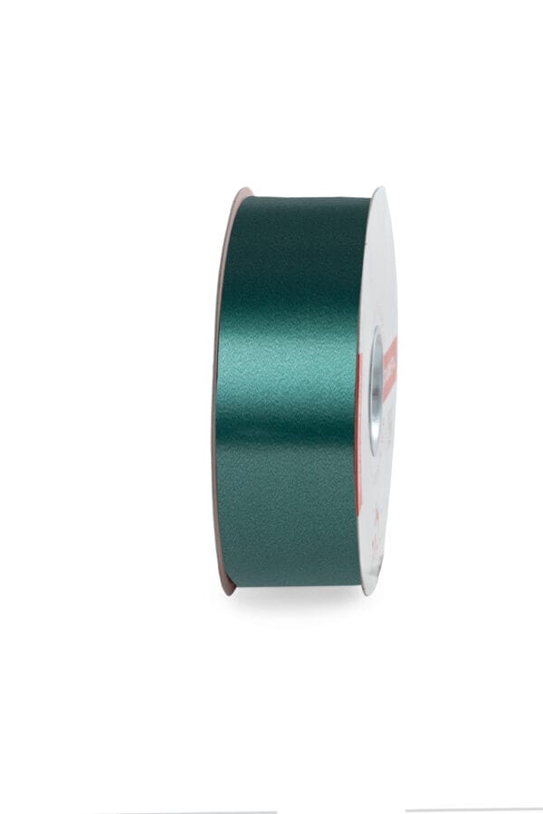 NASTRO LISCIO MM.50 MT.100 col.-126 (Cod. 1065-06)