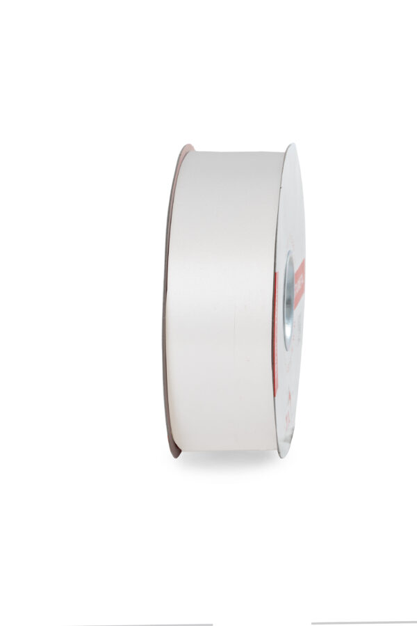 NASTRO LISCIO MM.50 MT.100 col.-53 (Cod. 1065-15)
