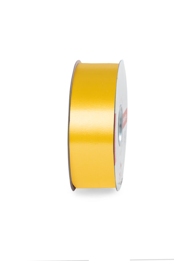 NASTRO LISCIO MM.50 MT.100 col.-58 (Cod. 1065-16)