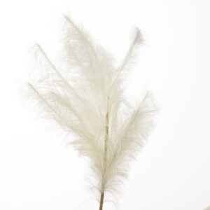 RAMO PAMPAS CM 180 bianco (Cod. 34457-02)