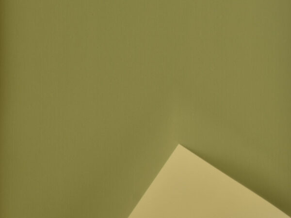 BOBINA PPL VELVET 1X20MT 60 MY (+ SPESSA) verde-oliva-verde-salvia (Cod. 34292-07)
