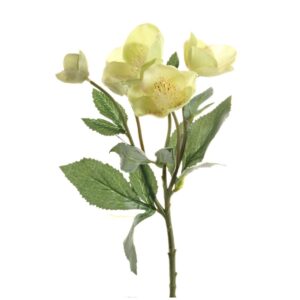 HELLEBORUS PICK X5 29 CM verde (Cod. 30463-01)