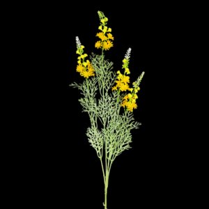 RAMO INFIORESCENZA LAVANDA  X4 CM65 giallo (Cod. 34536-01)