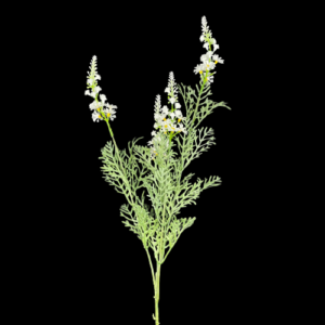 RAMO INFIORESCENZA LAVANDA  X4 CM65 bianco (Cod. 34536-03)