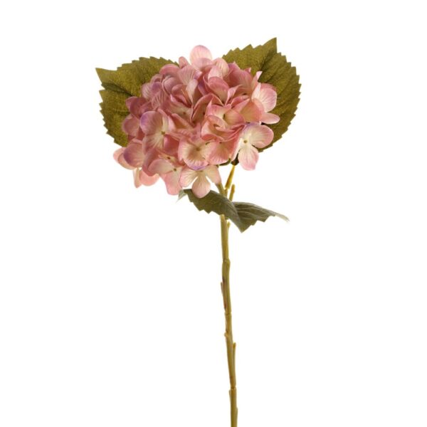 ORTENSIA AUTUNNALE  malva (Cod. 34506-01)