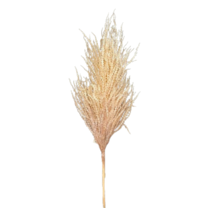 BIG PAMPAS ARGENTINA H120 CM crema (Cod. 34229-01)