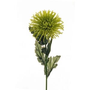 CRISANTEMO CON 5 FOGLIE 80CM SPIDER verde (Cod. 27755-04)