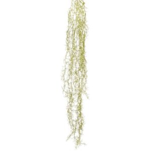 RAMO TILLANDSIA PENDENTE 120 CM  (Cod. 34670-01)
