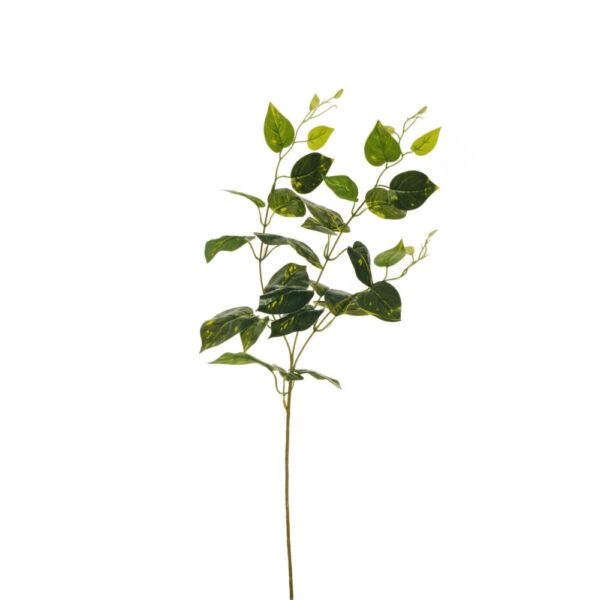 RAMO POTHOS REAL TOUCH 78CM  (Cod. 34599-01)