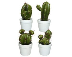 CACTUS IN VASO H15 CM (1 pz)  (Cod. 28214-01)