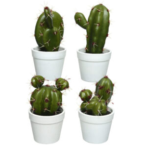 CACTUS IN VASO H15 CM (1 pz)  (Cod. 28214-01)