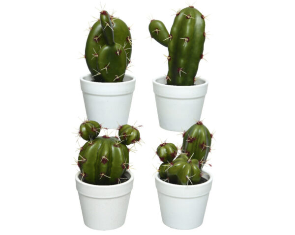 CACTUS IN VASO H15 CM (1 pz)  (Cod. 28214-01)