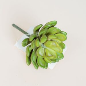 PIANTA GRASSA CM 11 verde (Cod. 34797-02)