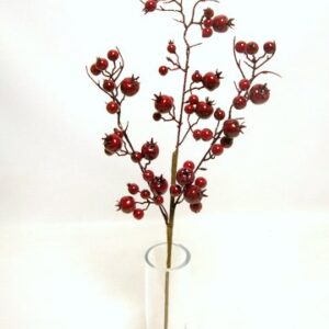 RAMO BACCHE CM50 rosso (Cod. 34853-01)
