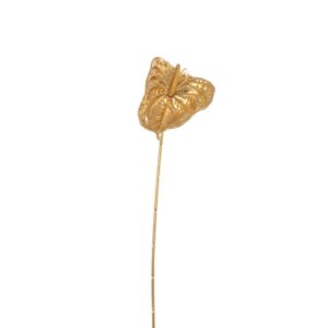 ANTHURIUM ORO CM 82  (Cod. 34827-01)